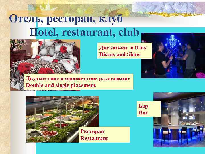 Отель, ресторан, клуб Hotel, restaurant, club Дискотеки и Шоу Discos and Shaw Двухместное и