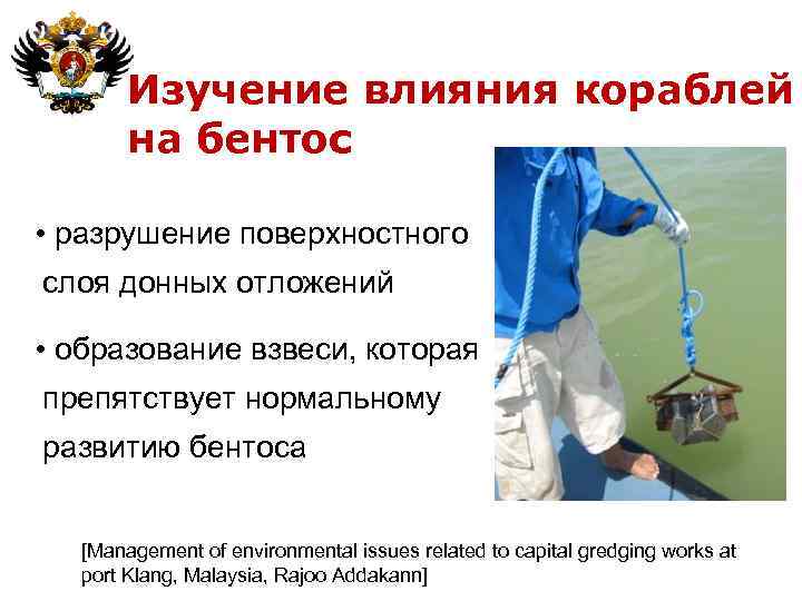 Изучение влияния кораблей на бентос • разрушение поверхностного слоя донных отложений • образование взвеси,