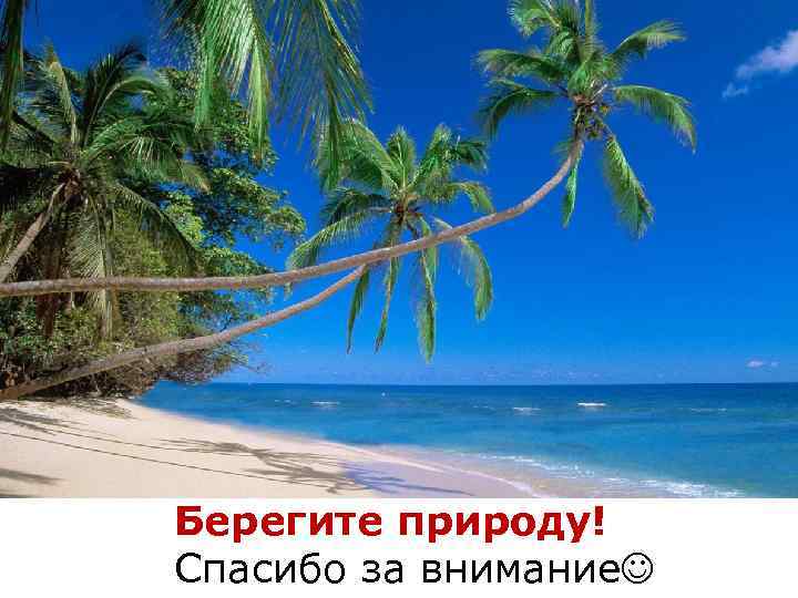 Берегите природу! Спасибо за внимание 