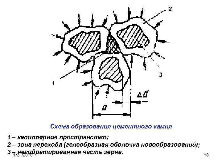 2 3 1 Схема образования цементного камня 1 – капиллярное пространство; 2 – зона