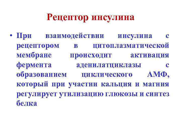 Рецептор инсулина • При взаимодействии инсулина с рецептором в цитоплазматической мембране происходит активация фермента