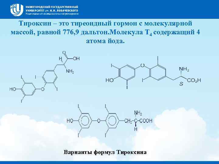  Тироксин – это тиреоидный гормон с молекулярной массой, равной 776, 9 дальтон. Молекула