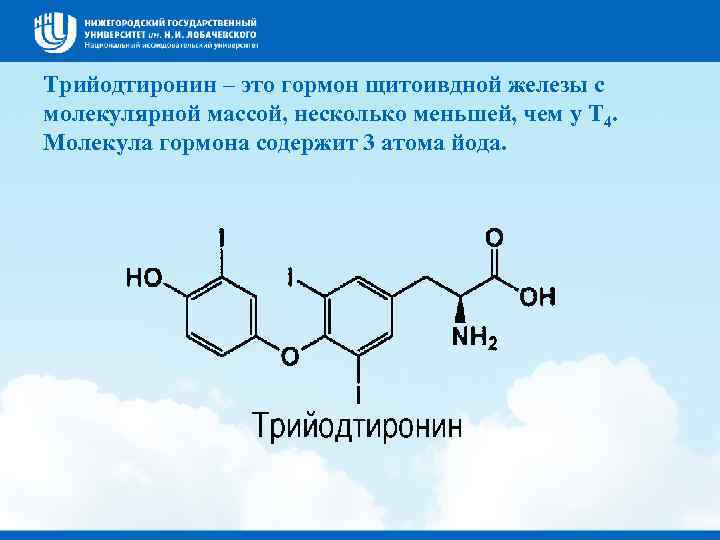 Трийодтиронин – это гормон щитоивдной железы с молекулярной массой, несколько меньшей, чем у Т