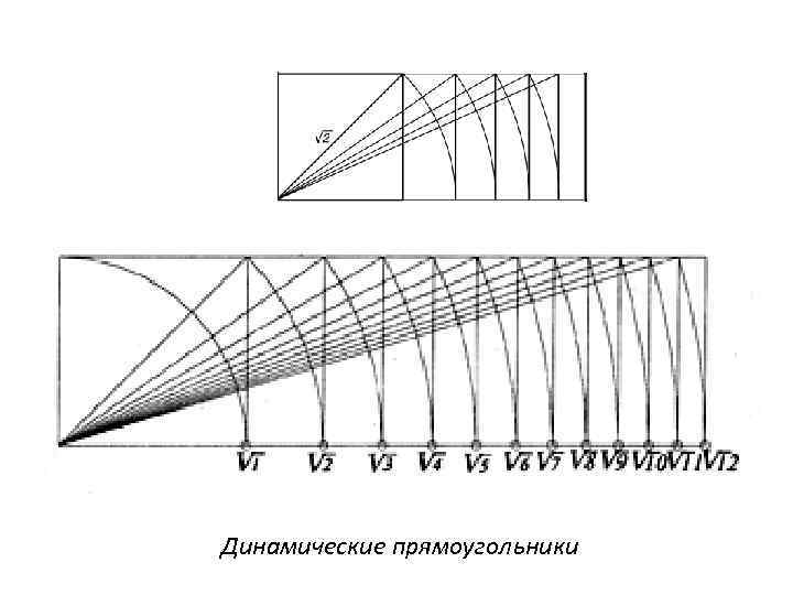 Динамические прямоугольники 