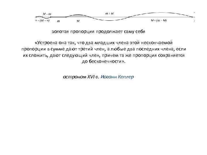 золотая пропорция продолжает саму себя «Устроена она так, что два младших члена этой нескончаемой