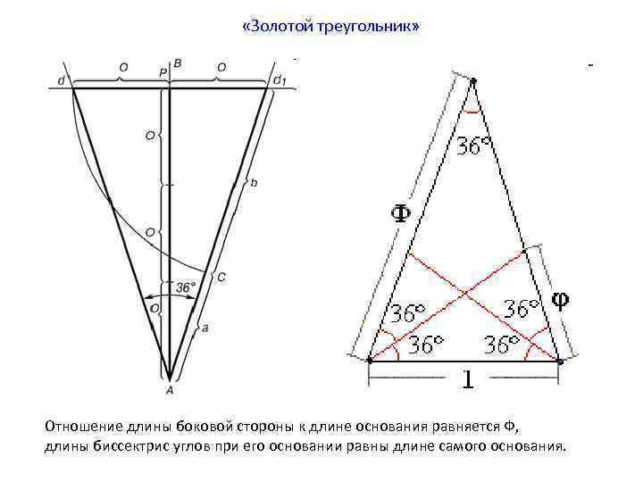  «Золотой треугольник» Отношение длины боковой стороны к длине основания равняется Ф, длины биссектрис
