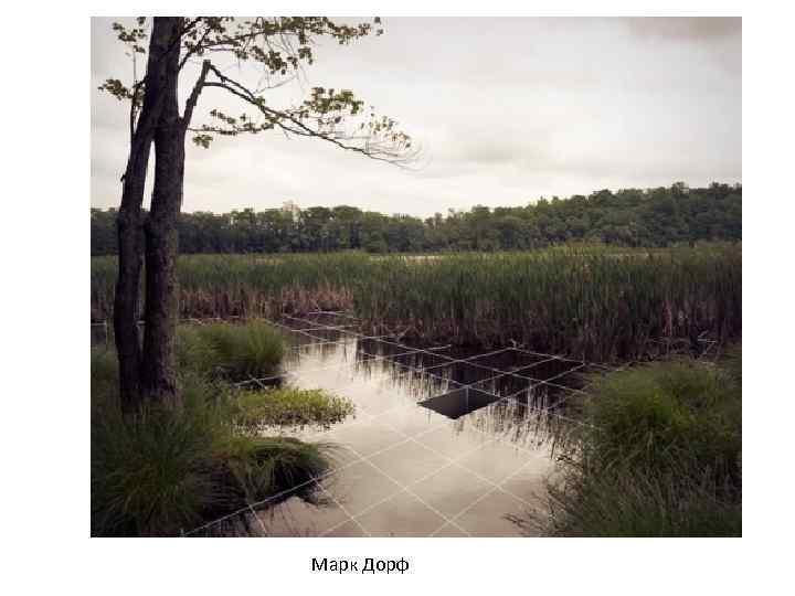 Марк Дорф 