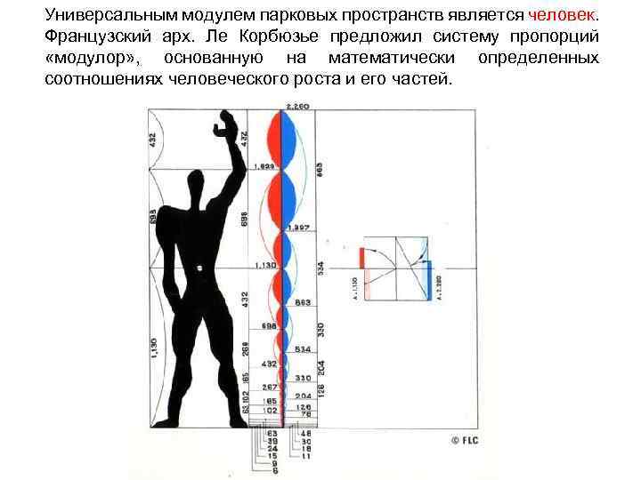 Универсальным модулем парковых пространств является человек. Французский арх. Ле Корбюзье предложил систему пропорций «модулор»
