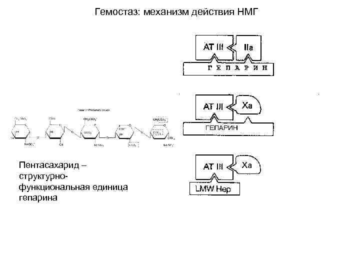 Гемостаз регулоном схема