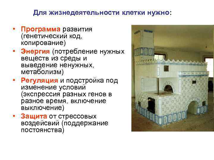 Для жизнедеятельности клетки нужно: • Программа развития (генетический код, копирование) Для жизнедеятельности клетки нужно: • Программа развития (генетический код, копирование)