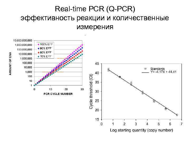 Real-time PCR (Q-PCR) эффективность реакции и количественные измерения Real-time PCR (Q-PCR) эффективность реакции и количественные измерения