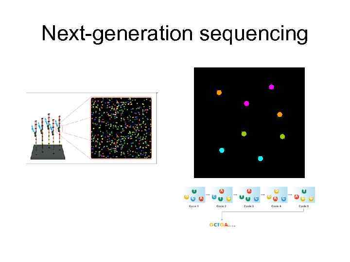 Next-generation sequencing Next-generation sequencing