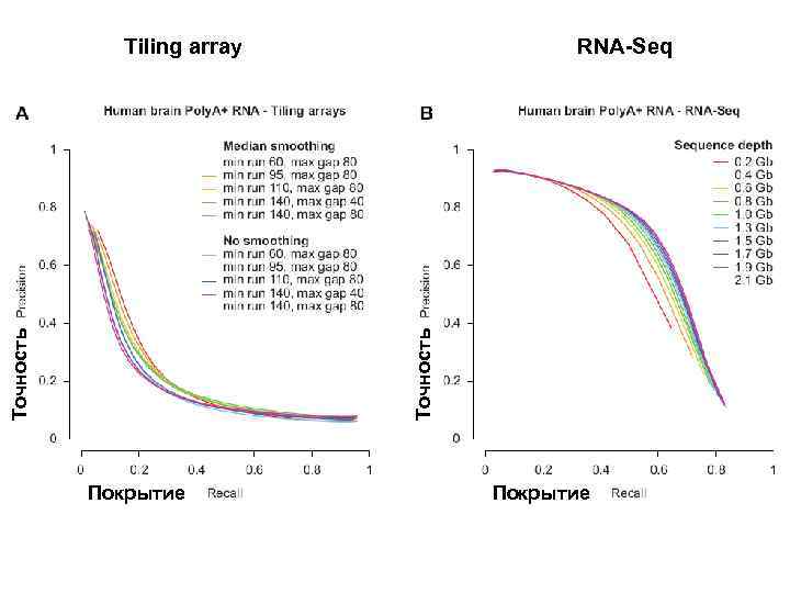 Tiling array RNA-Seq Точность Tiling array RNA-Seq Точность