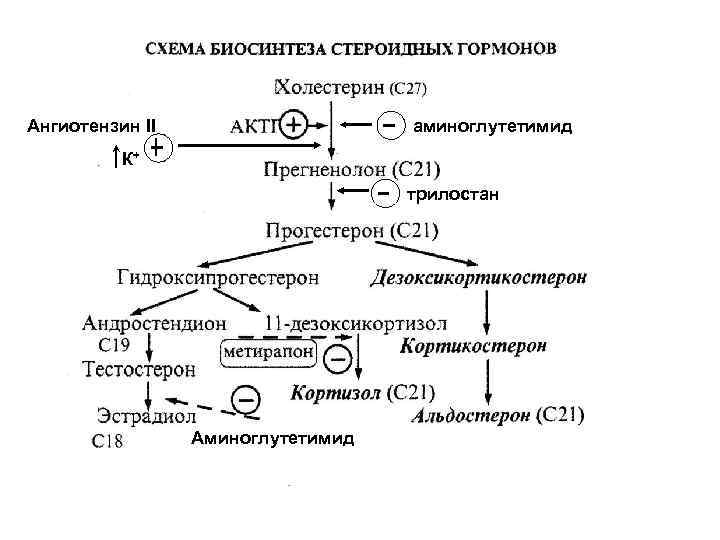 Схема биосинтеза стероидных гормонов