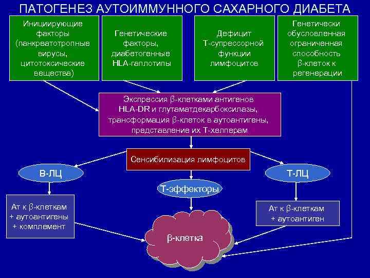 Этиология и патогенез диабета