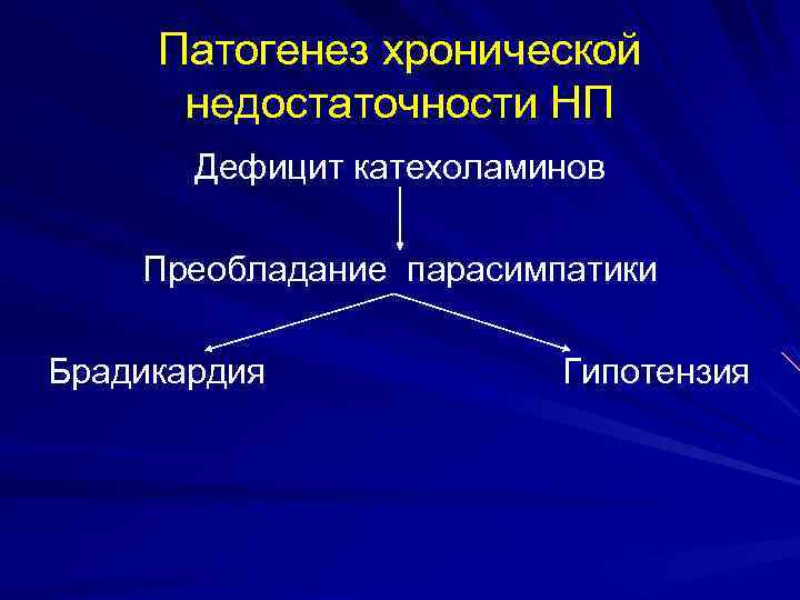 Патогенез хронической недостаточности НП Дефицит катехоламинов Преобладание парасимпатики Брадикардия Гипотензия 