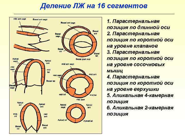 Разделить на сегменты