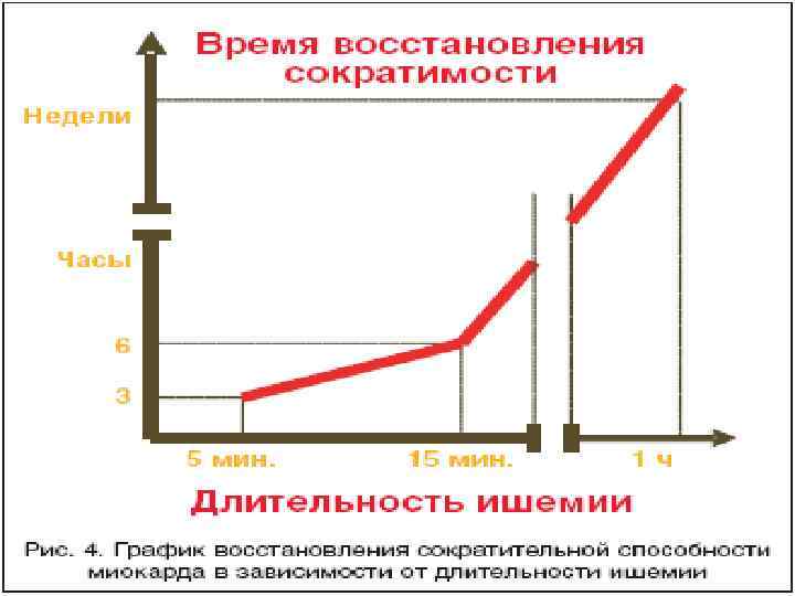    Виды оглушенности миокарда:  1. Типичное быстро и полностью обратимое 