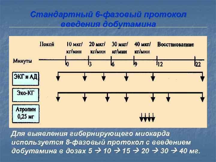    Стресс-эхокардиография Гибернирующий миокард Добутаминовая проба выявляет участок улучшения сократимости миокарда при