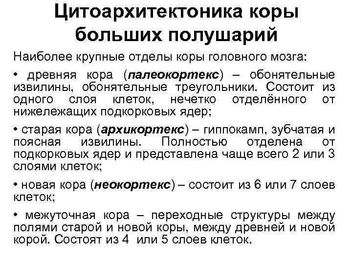 Цитоархитектоника коры больших полушарий Наиболее крупные отделы коры головного мозга: • древняя кора (палеокортекс)