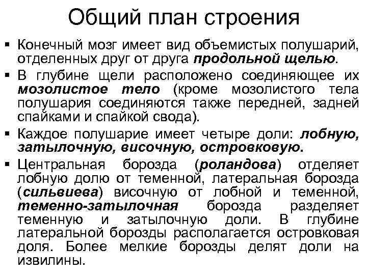 Общий план строения § Конечный мозг имеет вид объемистых полушарий, отделенных друг от друга