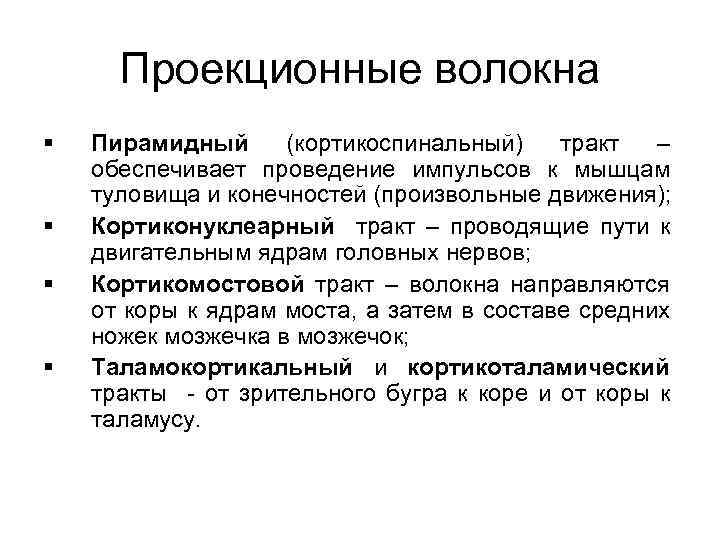 Проекционные волокна § § Пирамидный (кортикоспинальный) тракт – обеспечивает проведение импульсов к мышцам туловища