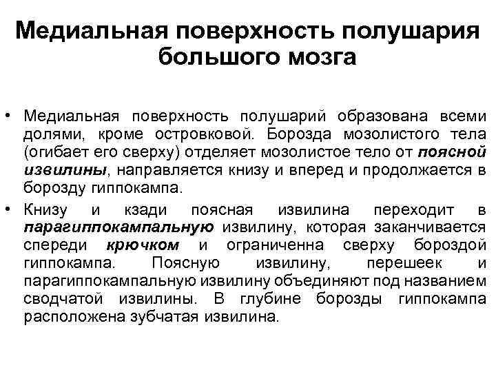 Медиальная поверхность полушария большого мозга • Медиальная поверхность полушарий образована всеми долями, кроме островковой.