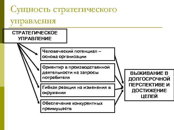 Сущность управления проектами