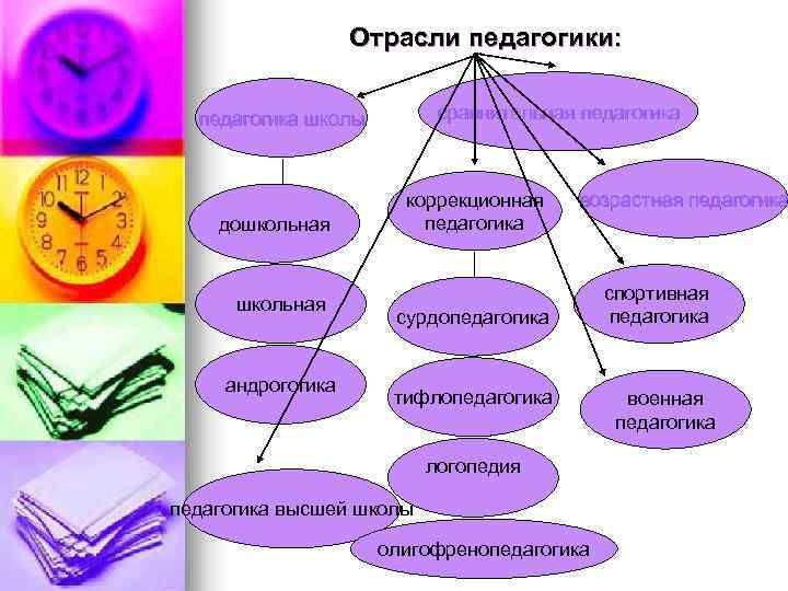 Отрасли педагогики: сравнительная педагогика школы дошкольная андрогогика коррекционная педагогика возрастная педагогика сурдопедагогика тифлопедагогика логопедия
