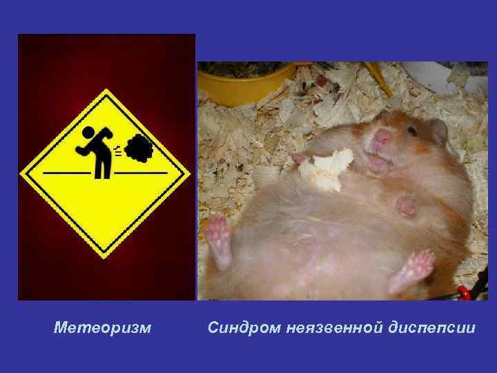 Метеоризм  Синдром неязвенной диспепсии 