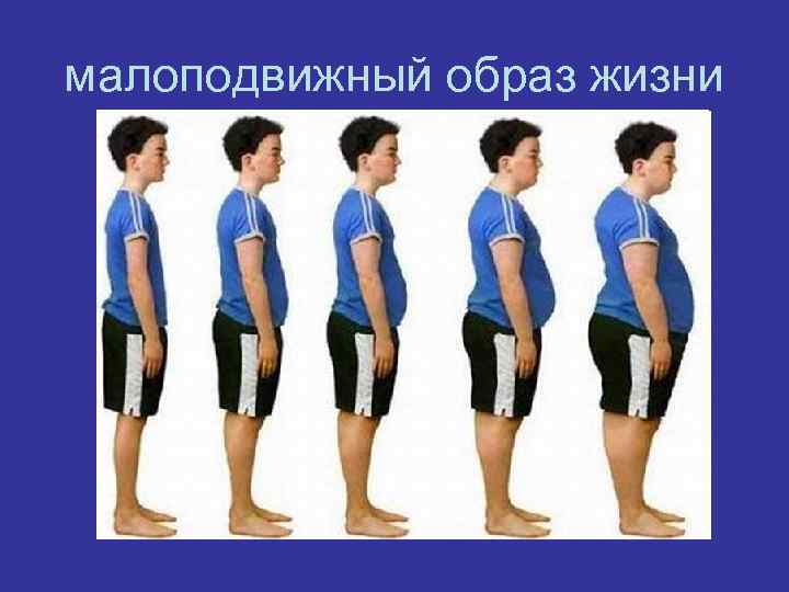 малоподвижный образ жизни 