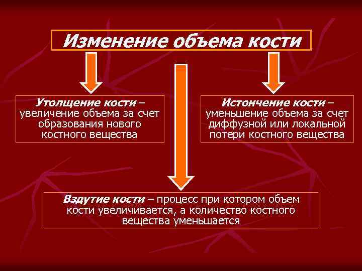 Изменение объема кости Утолщение кости – увеличение объема за счет образования нового костного вещества