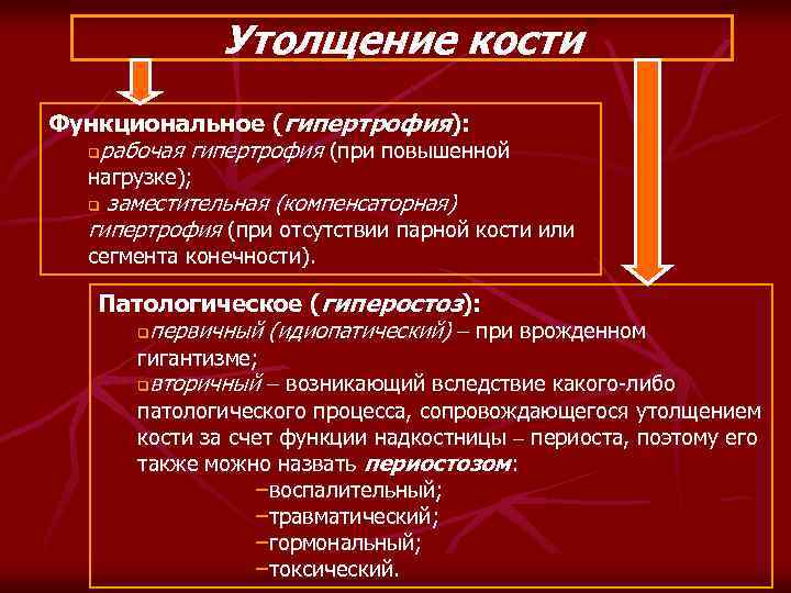 Утолщение кости Функциональное (гипертрофия): qрабочая гипертрофия (при повышенной нагрузке); заместительная (компенсаторная) гипертрофия (при отсутствии