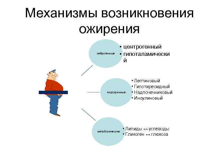 Механизмы возникновения ожирения нейрогенные • центрогенный • гипоталамически й эндокринные метаболические • Лептиновый •