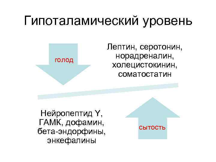 Гипоталамический уровень голод Нейропептид Y, ГАМК, дофамин, бета-эндорфины, энкефалины Лептин, серотонин, норадреналин, холецистокинин, соматостатин