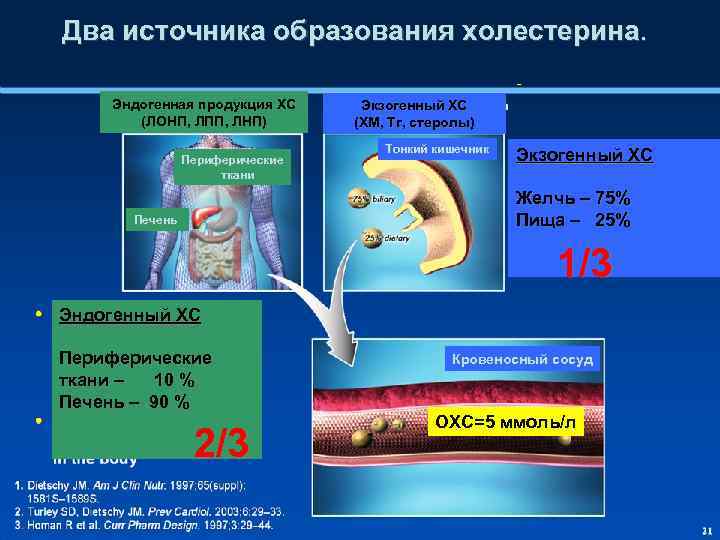 Два источника образования холестерина. Эндогенная продукция ХС (ЛОНП, ЛПП, ЛНП) Периферические ткани Экзогенный ХС