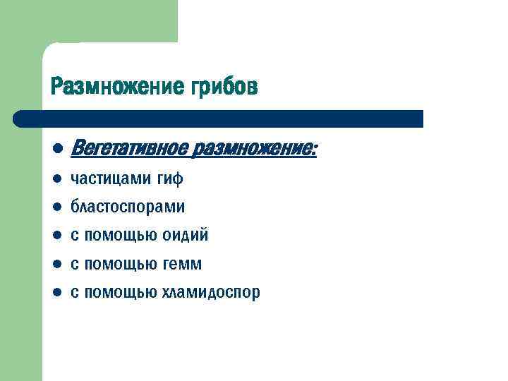 Размножение грибов l Вегетативное размножение: l частицами гиф бластоспорами с помощью оидий с помощью