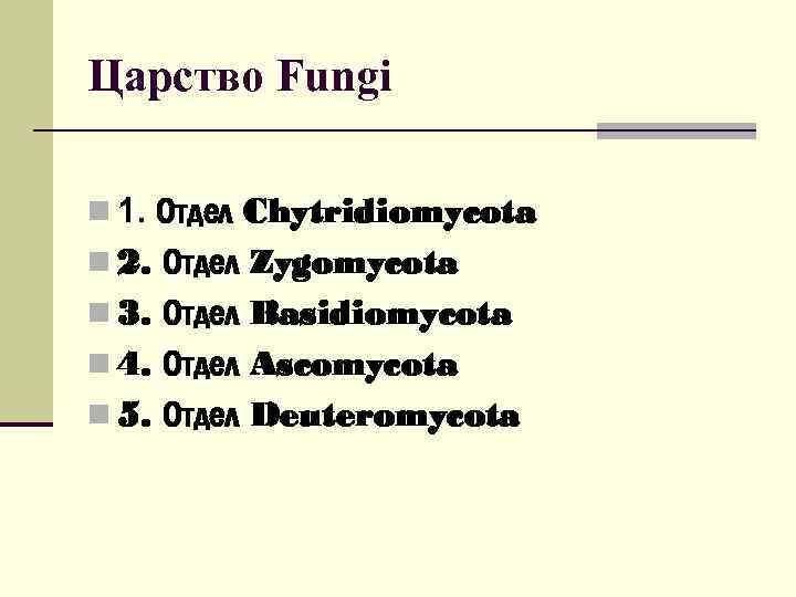 Царство Fungi n 1. Отдел Chytridiomycota n 2. Отдел Zygomycota n 3. Отдел Basidiomycota