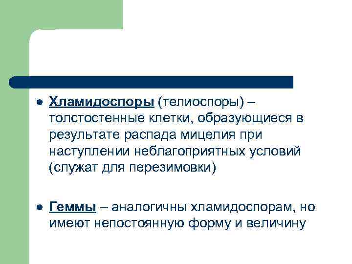 l Хламидоспоры (телиоспоры) – толстостенные клетки, образующиеся в результате распада мицелия при наступлении неблагоприятных