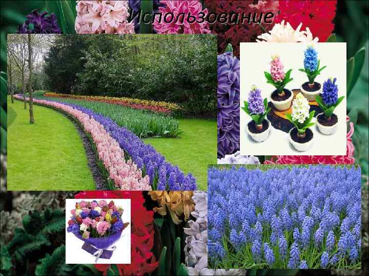 Использование 