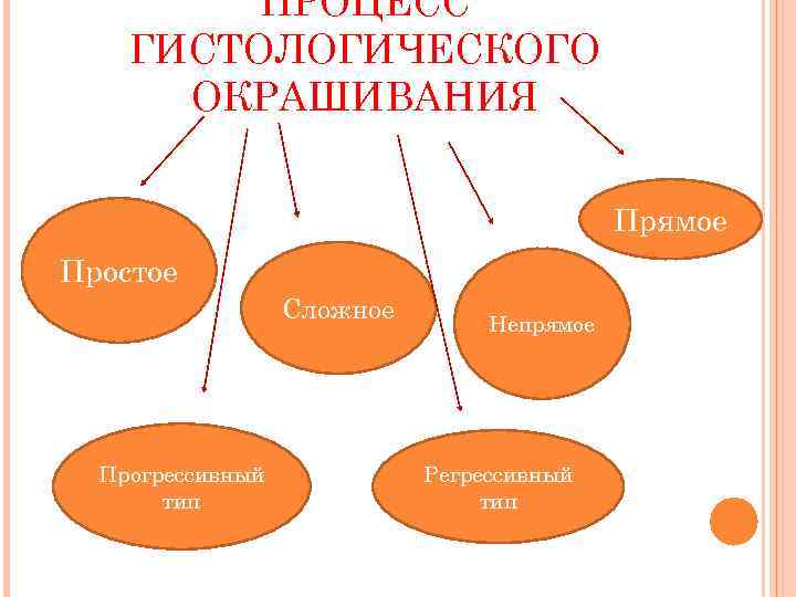 ПРОЦЕСС ГИСТОЛОГИЧЕСКОГО ОКРАШИВАНИЯ Прямое Простое Сложное Прогрессивный тип Непрямое Регрессивный тип 