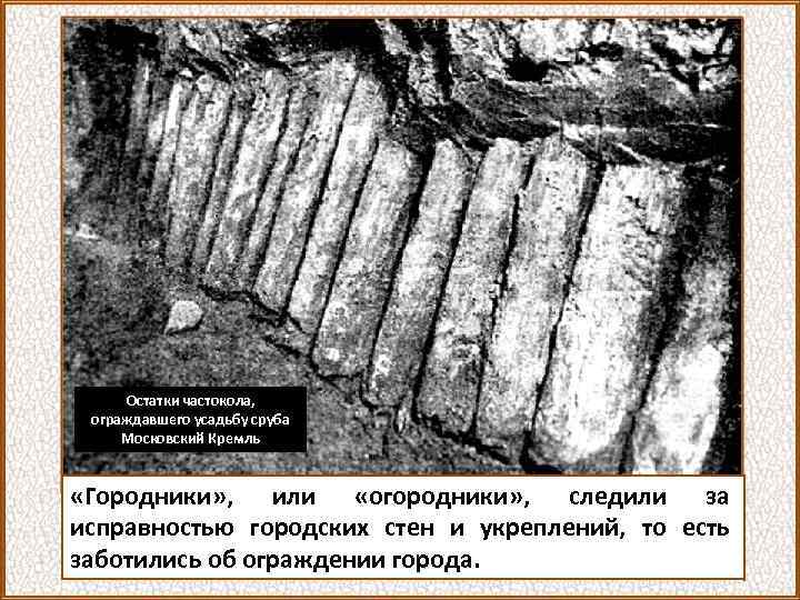 Остатки частокола, ограждавшего усадьбу сруба Московский Кремль «Городники» , или «огородники» , следили за