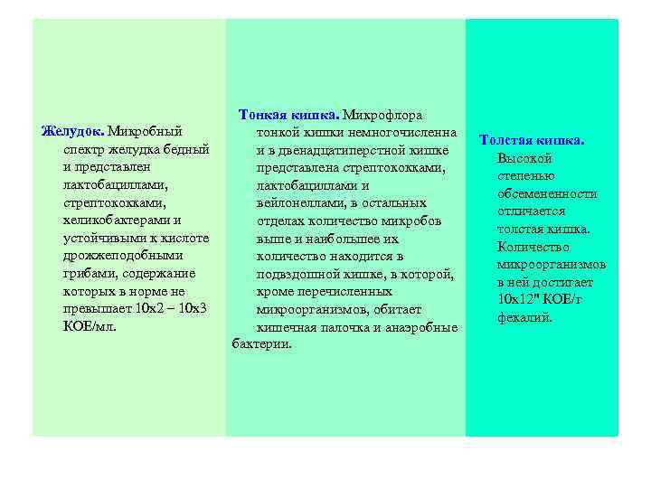 Тонкая кишка. Микрофлора тонкой кишки немногочисленна и в двенадцатиперстной кишке представлена стрептококками, лактобациллами и