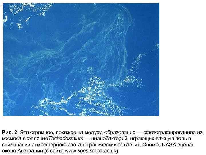  Значительное внимание было уделено Рис. 2. Это огромное, похожее на медузу, образование —