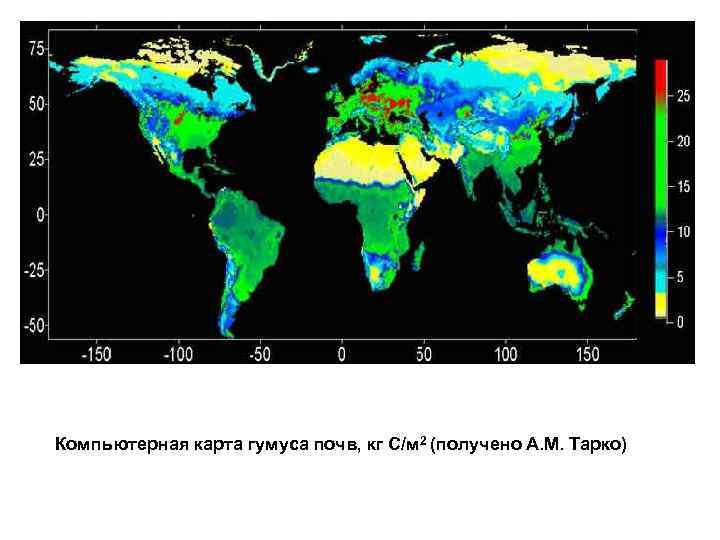 Компьютерная карта гумуса почв, кг С/м 2 (получено А. М. Тарко) 