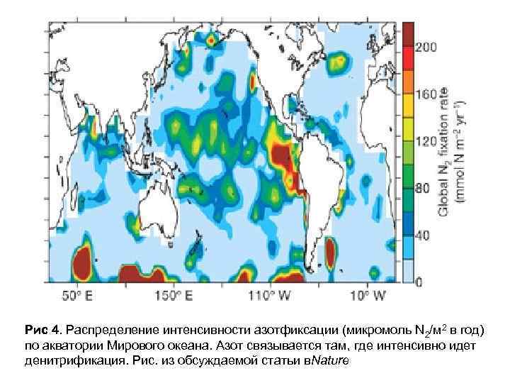 Рис 4. Распределение интенсивности азотфиксации (микромоль N 2/м 2 в год) по акватории Мирового