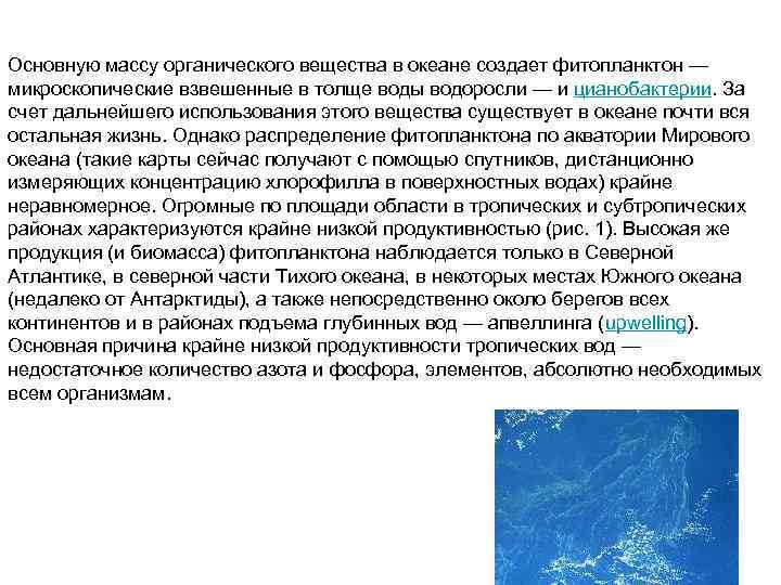 Основную массу органического вещества в океане создает фитопланктон — микроскопические взвешенные в толще воды