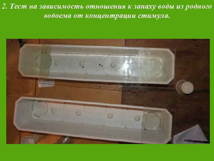 2. Тест на зависимость отношения к запаху воды из родного водоема от концентрации стимула.