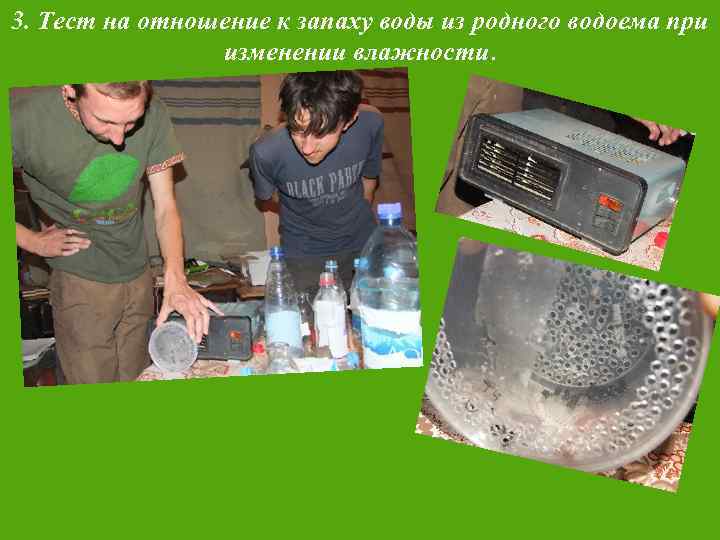 3. Тест на отношение к запаху воды из родного водоема при изменении влажности. 