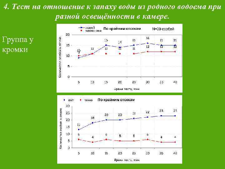 4. Тест на отношение к запаху воды из родного водоема при разной освещённости в